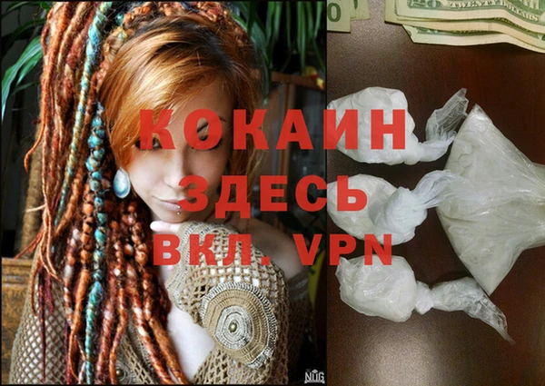 стафф Армянск