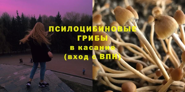 героин Алексин
