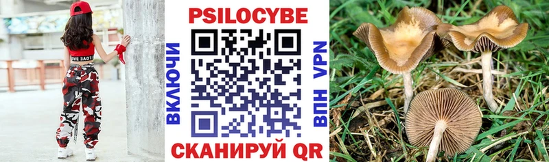 Галлюциногенные грибы GOLDEN TEACHER  магазин    Артёмовский 